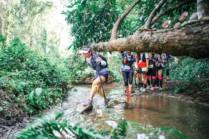 BIB: 
                            <button type="button" onclick="openModal(25516845)" class="btn btn-primary btn-sm float-right btn-popup" data-toggle="modal" data-target=".modal-high-quality">
                        <i class="fas fa-shopping-cart"></i> Add to Cart
                    </button>
                                            <button type="button" onclick="isThisMe(25516845, true)" class="btn btn-success btn-sm float-right btn-popup btn-isme hidden" data-toggle="tooltip" data-placement="bottom" title="นี่คือรูปของคุณใช่ไหม คลิกที่นี่เพื่อเอาเข้าอัลบั้ม">
                        <i class="fas fa-plus"></i> Add to album
                    </button>
                    <button type="button" onclick="isThisMe(25516845, false)" class="btn btn-warning btn-sm float-right btn-popup btn-isnotme hidden">
                        <i class="fas fa-ban"></i> Remove from album
                    </button>